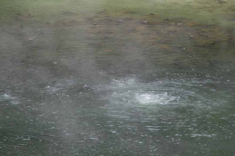 Nieuw-Zeeland 2011 - 0696